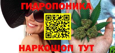 гидропоника Кунгур