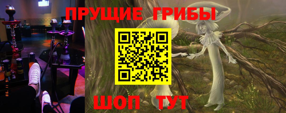 Галлюциногенные грибы мицелий Изобильный